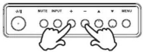 MUTE INPUT + - ▲ MENU