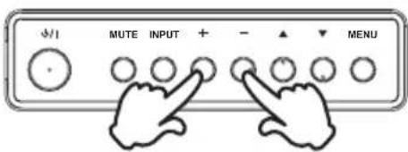 MUTE INPUT + - ▲ MENU