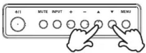 φ/1 MUTE INPUT + - ▲ ▼ MENU