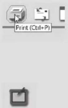 Print (Ctrl+P)