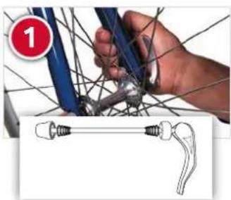 Raleigh Willow - Models with Quick Release (Q/R) - 1