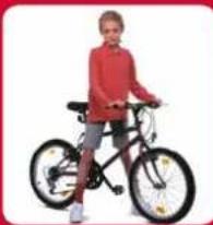 Raleigh Sherwood - Child Seats - 2