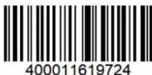 400011619724