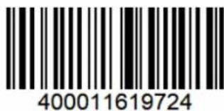 400011619724