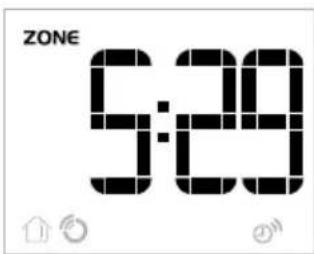 ZONE 5:29