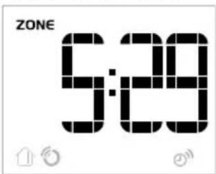 ZONE 5:29