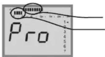 Pro