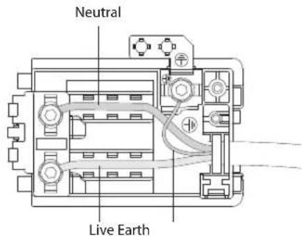 Neutral Live Earth