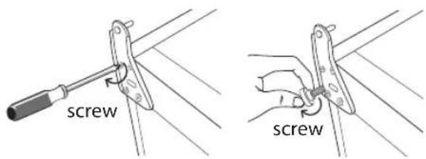 screw screw