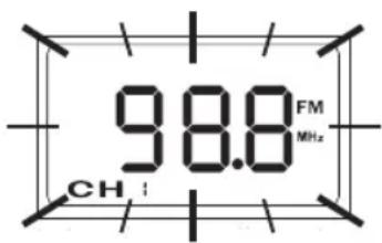 98.8 FM MHz CH :