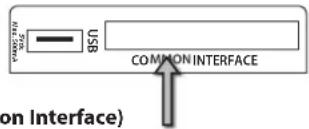 USB COMMON INTERFACE on Interface)