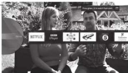 NetFLIX ONION Diplstyle 5