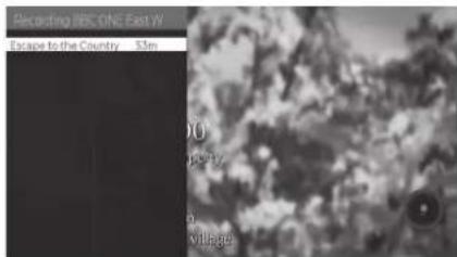 According IBC ONE East JV Escape to the Country 53m 00 p172 0 village