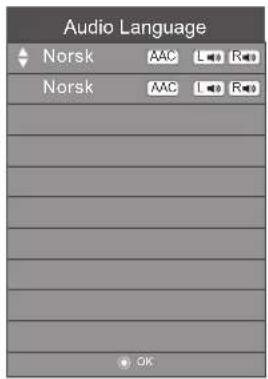 Audio Language Norsk AAC L R Norsk AAC L R OK