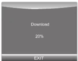 Download 20% EXIT