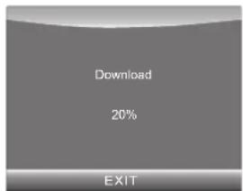 Download 20% EXIT