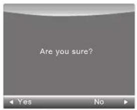 Are you sure?