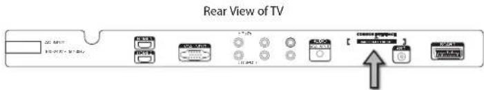 Rear View of TV