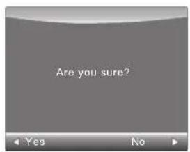 Are you sure?