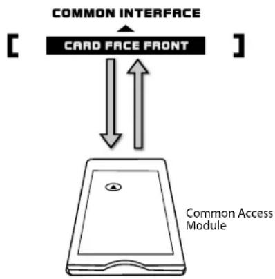 Logik L22FEDW15 - To remove the Common Access Module - 1