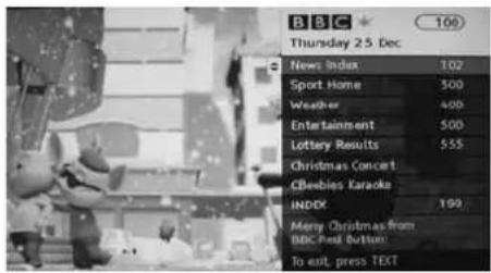 BBC Thursday 25 Dec 100 News Index 102 Sport Home 300 Weather 400 Entertainment 500 Lottery Results 555 Christmas Concert CBeebies Karaoke INDX 100 Merry Christmas from BBC Final Button To exit press TEXT