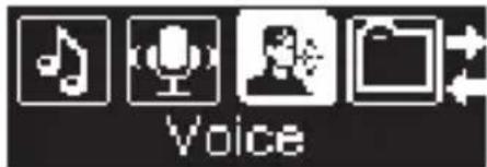 Voice