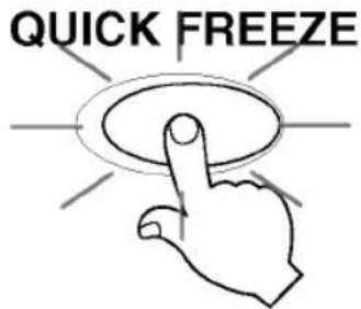 QUICK FREEZE