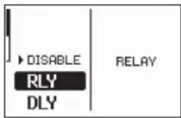 DISABLE RLY DLY RELAY