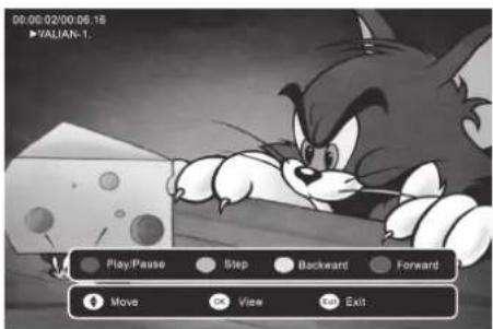 00:00.02/00.06.16 VALIAN-1. Play/Pause Step Backward Forward Move View Exit