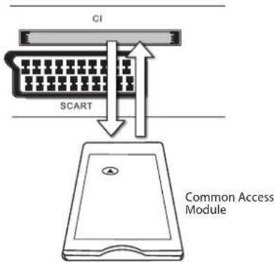 CI SCART Common Access Module