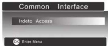 Common Interface Irdeto Access OK Enter Menu