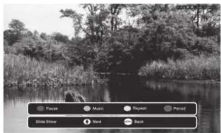 Pause Music Repeat Period Slide Show Next Back