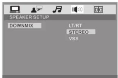 SPEAKER SETUP DOWNMIX LT/RT STEREO VSS