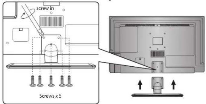 screw in Screws x 5