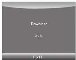 Download 20% EXIT