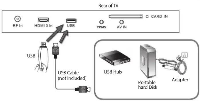 Rear of TV RF In HDMI 3 In USB YPbPr AV IN CI CARD IN USB USB Cable (not included) USB Hub Portable hard Disk Adapter