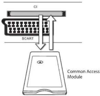 CI SCART Common Access Module