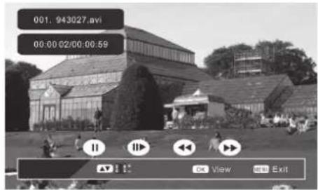 001. 943027.avi 00:00 02/00:00:59 OK View Exit