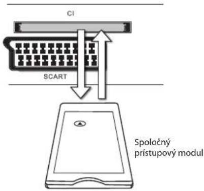CI SCART Spoločný prístupový modul