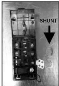 SHUNT