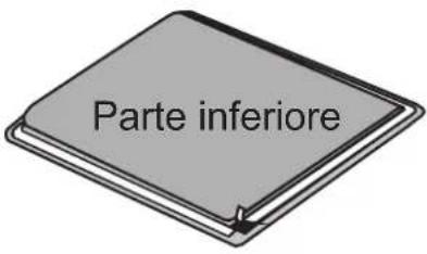 Parte inferiore