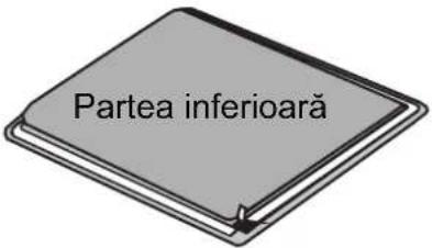 Partea inferioară