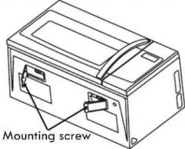 Mounting screw