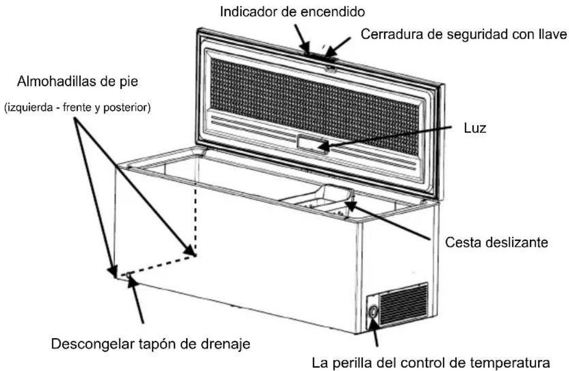 Indicador de encendido Cerradura de seguridad con llave Almohadillas de pie (izquierda - frente y posterior) Luz Cesta deslizante Descongelar tapón de drenaje La perilla del control de temperatura
