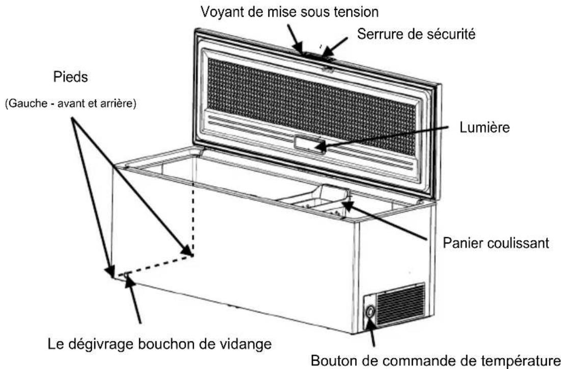Voyant de mise sous tension Serrure de sécurité Pieds (Gauche - avant et arrière) Lumière Panier coulissant Le dégivrage bouchon de vidange Bouton de commande de température