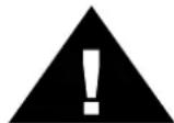Lauson OM83 - RISK OF ELECTRIC SHOCK DO NOT OPEN - 1
