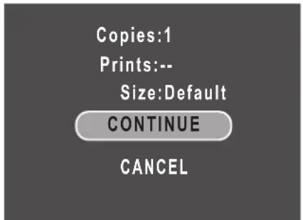 Copies:1 Prints:-- Size:Default CONTINUE CANCEL