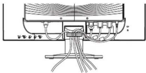 IIYAMA ProLite B2481HS - [ Collect Cables ] - 1