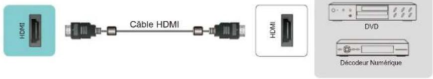 HDMI Câble HDMI HDMI DVD Décodeur Numérique