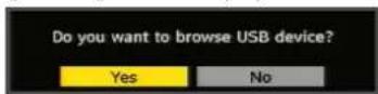 GRANDIN LV32W10 - Media Browser (in DTV mode) - 1
